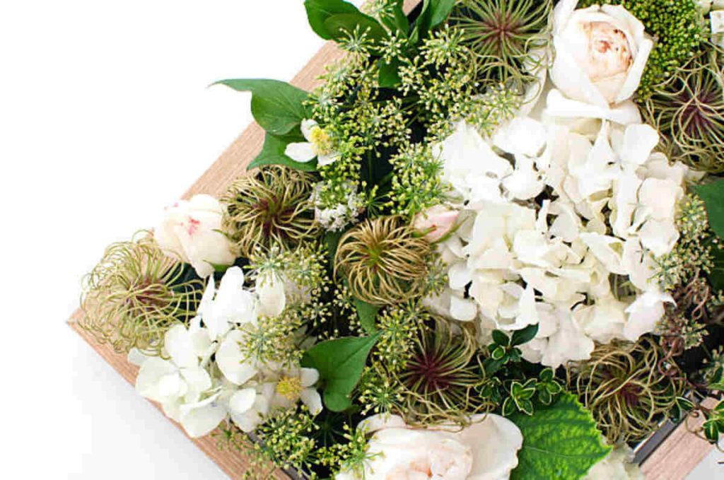 Eco Flower - Eco-Friendly Wedding Bouquets