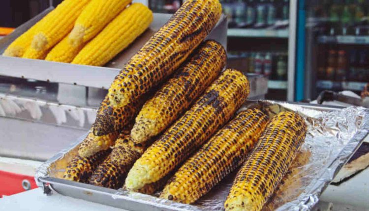 Starting a Corn Roaster Business