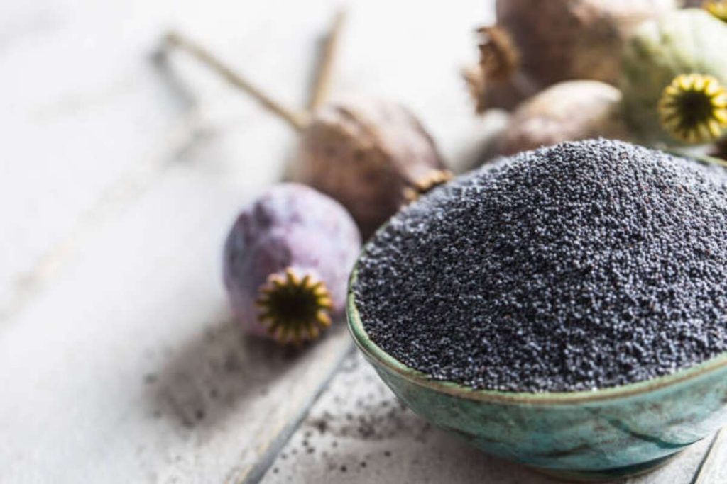 What to Do With Poppy Seed Pods