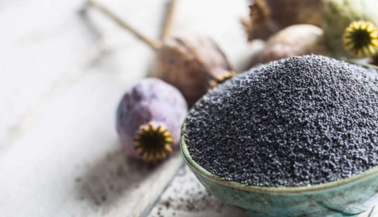 What to Do With Poppy Seed Pods