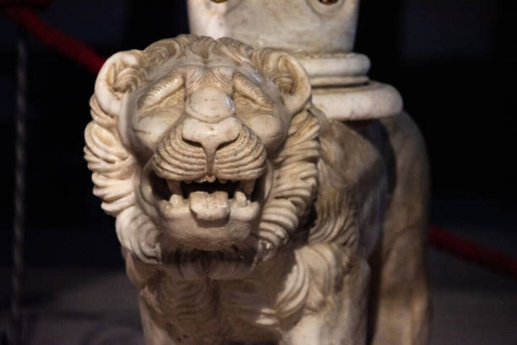 How to Choose a Lion Mount