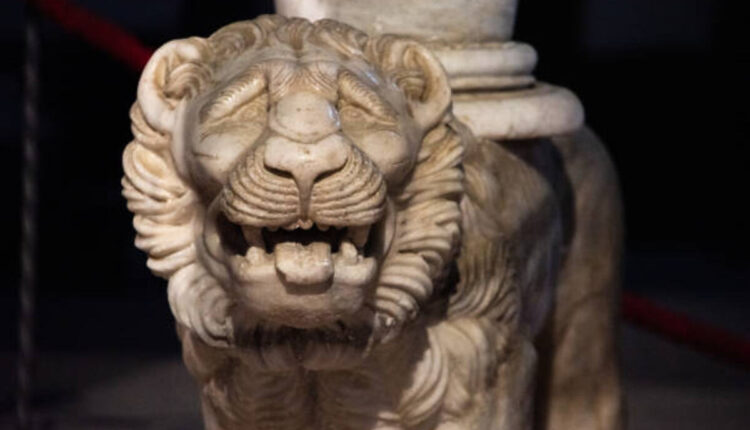 How to Choose a Lion Mount